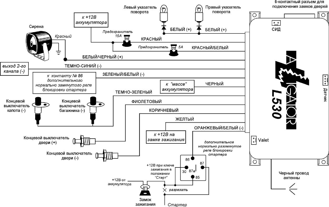 ����� �����������