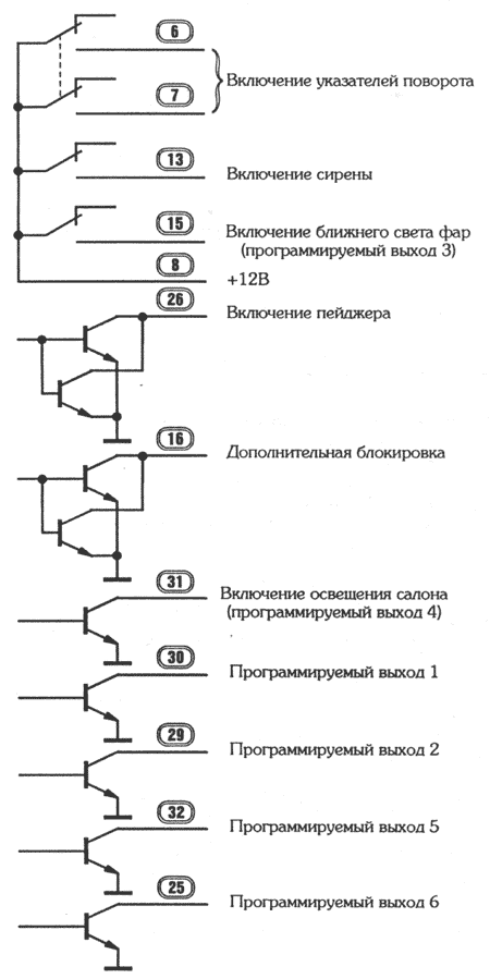 ����� ��������� ����� ������� �������