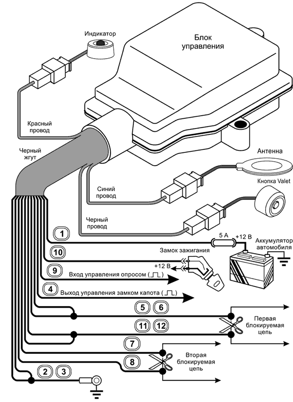 ����� �����������