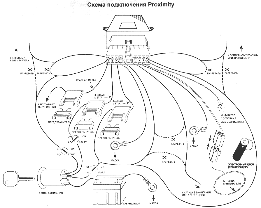Cel Proximity - ����� �����������