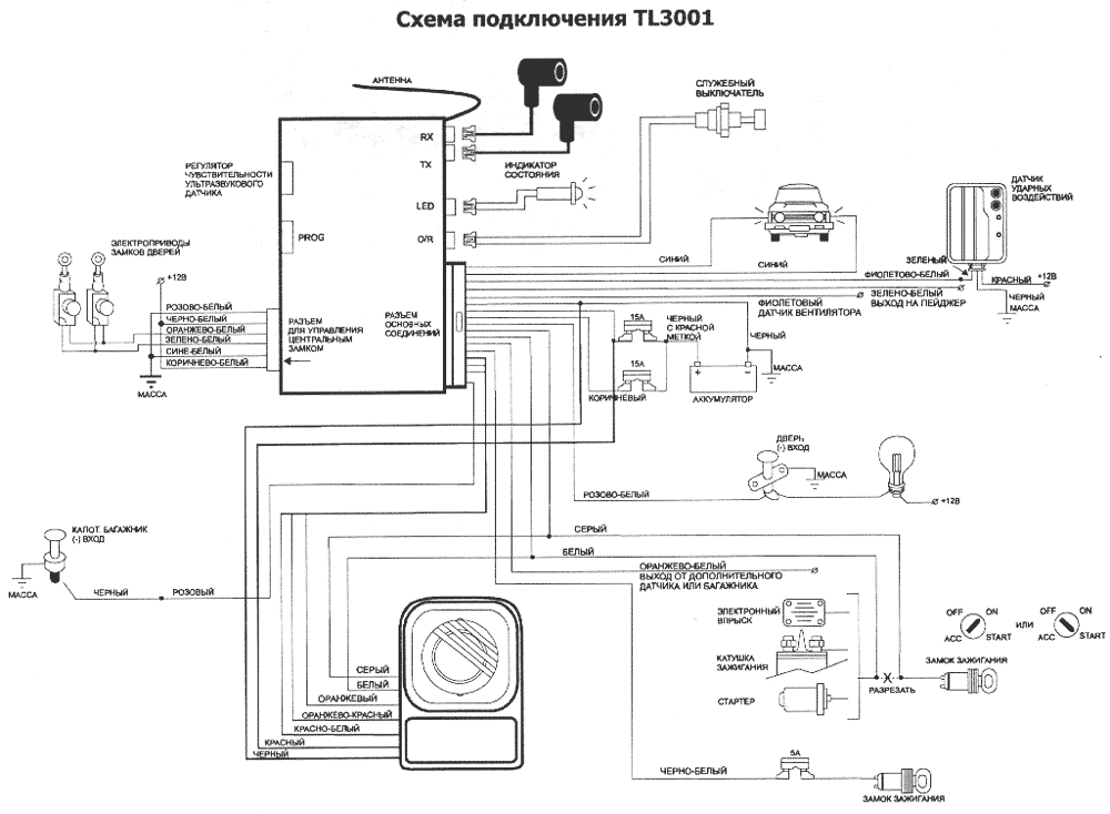 Cel TopLine 3001 - ����� �����������