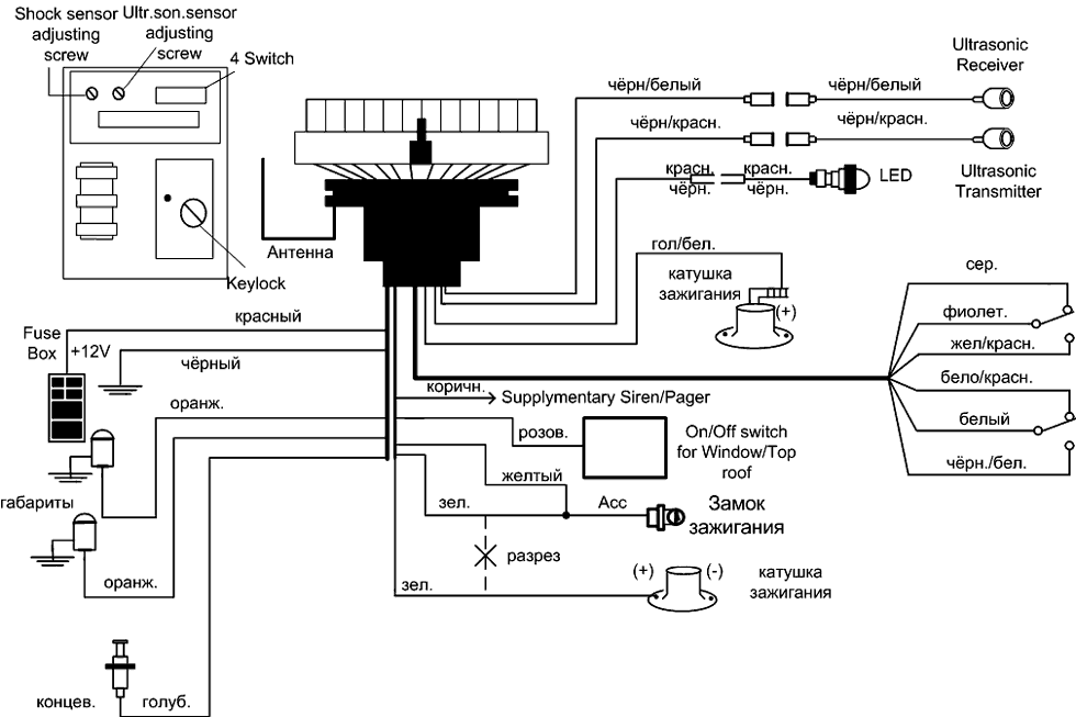 ����� �����������