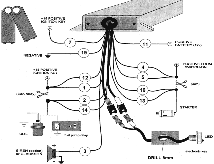 ����� �����������