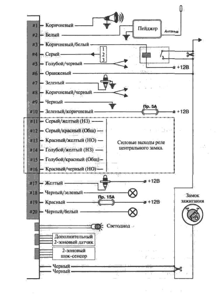 ����� �����������