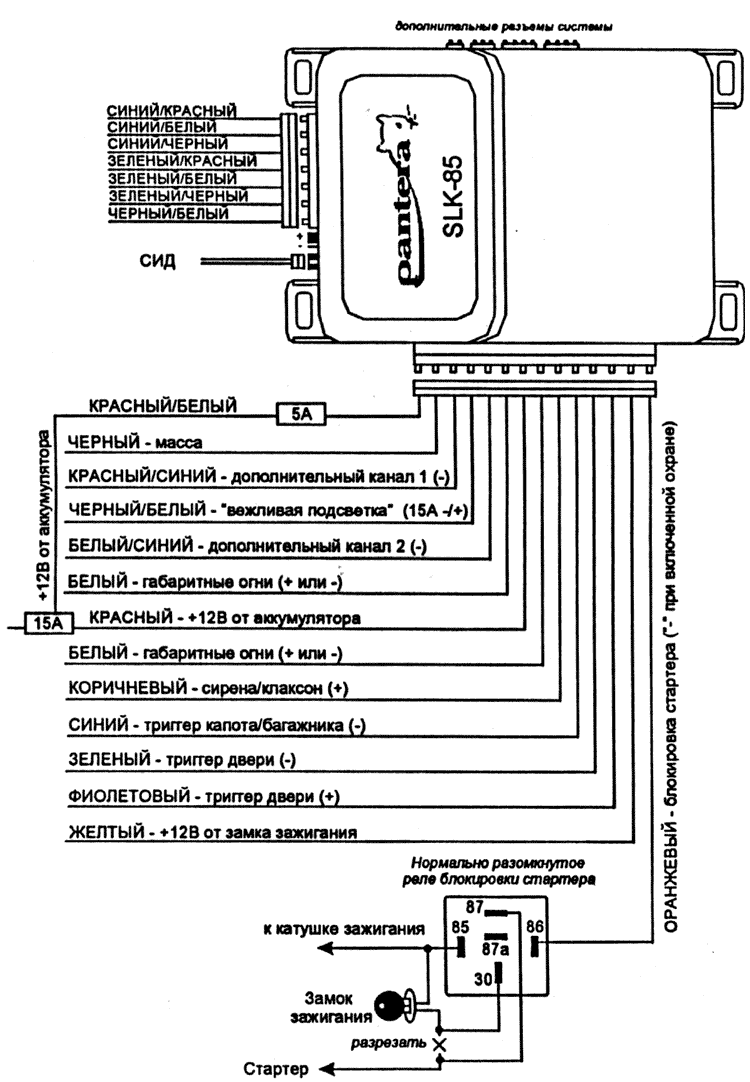 ����� �����������