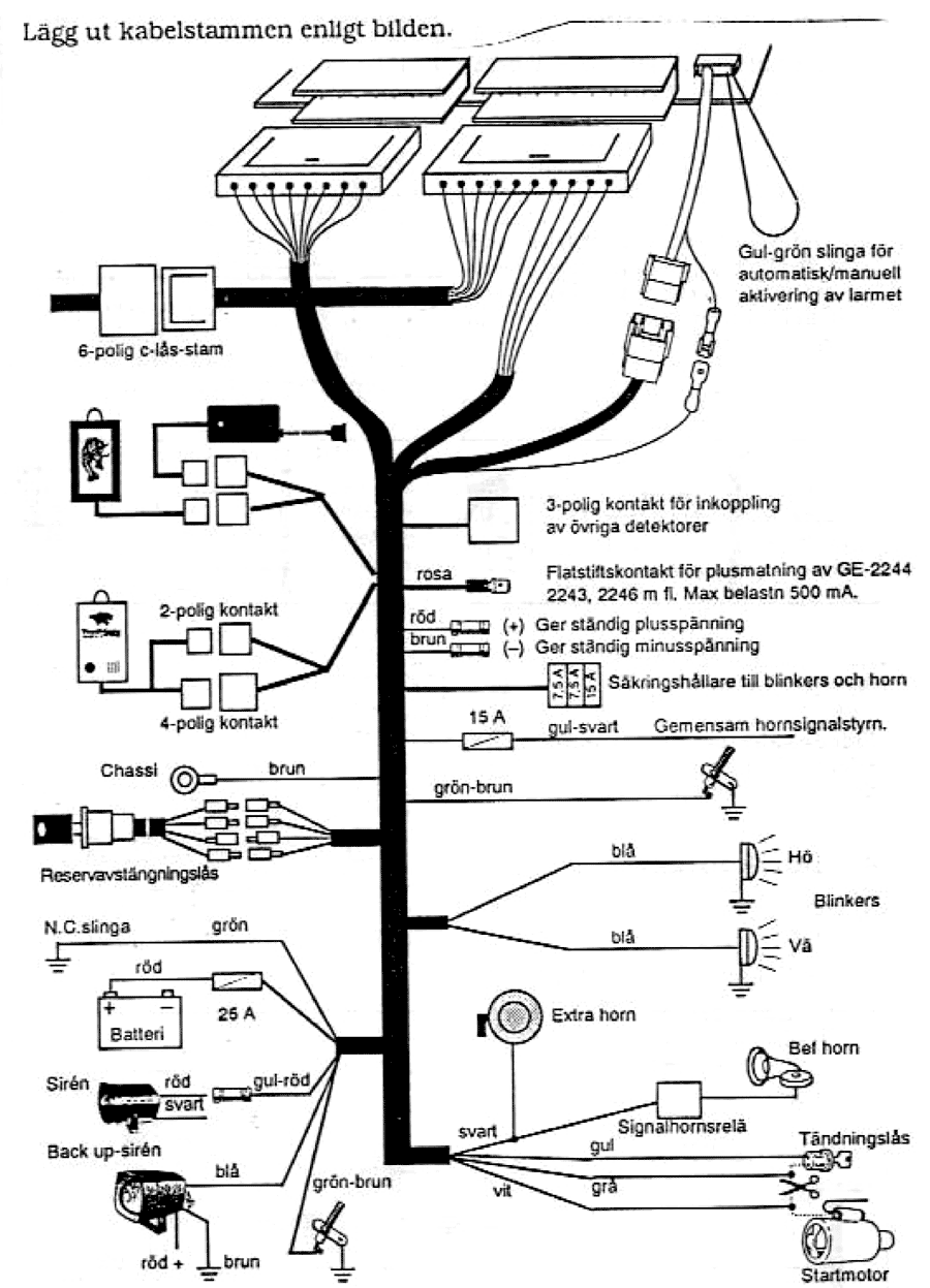 ����� �����������