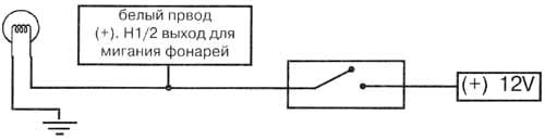 �1/2.����� ������ (+).