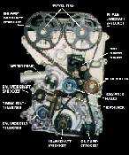 [Timing Belt Layout]
