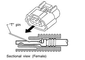 SEL265V.JPG