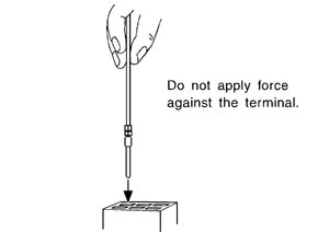 SEL271V.JPG